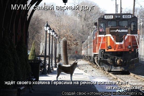 Котоматрица: МУМУ самый верный друг ждёт своего хозяина Герасима на речном вокзале 7 лет хатико отдыхает