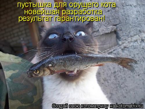 Котоматрица: пустышка для орущего кота новейшая разработка  результат гарантирован!