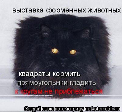 Котоматрица: выставка форменных животных квадраты кормить прямоугольнки гладить к кругам не приблежаться