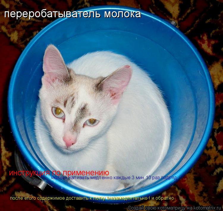 Котоматрица: инструкция по применению переробатыватель молока после етого содержимое доставить к лотку !незамедлительно ! и обратно молоко наливать ме