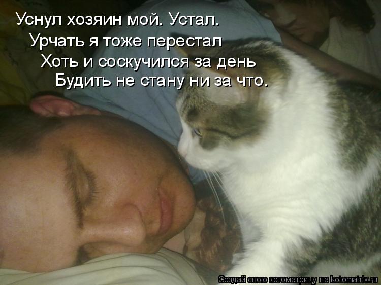Котоматрица: Уснул хозяин мой. Устал. Урчать я тоже перестал Хоть и соскучился за день Будить не стану ни за что.