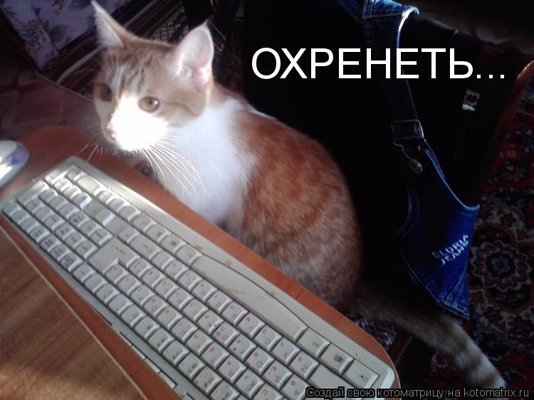 Котоматрица: ОХРЕНЕТЬ...
