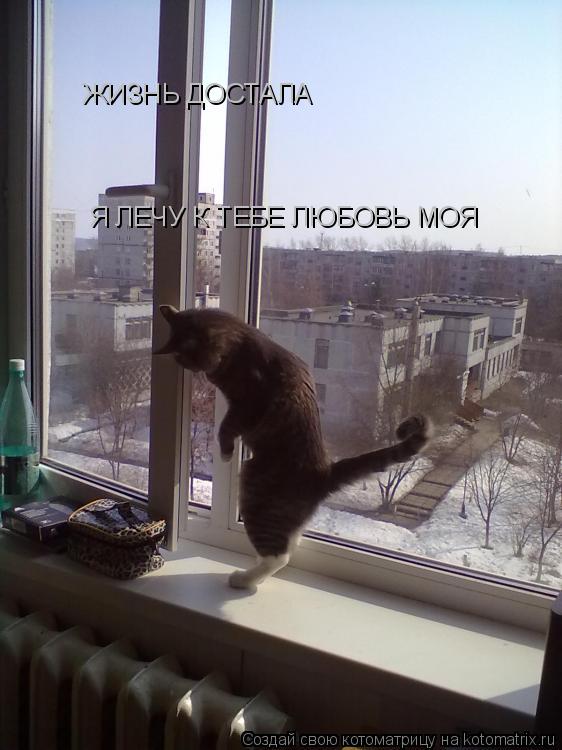 Котоматрица: ЖИЗНЬ ДОСТАЛА  Я ЛЕЧУ К ТЕБЕ ЛЮБОВЬ МОЯ