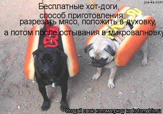 Котоматрица: Бесплатные хот-доги, способ приготовления: разрезать мясо, положить в духовку,  а потом после остывания в микровалновку! =)
