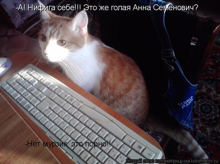 Котоматрица: -А! Нифига себе!!! Это же голая Анна Семенович? -Нет мурзик, это порно!!