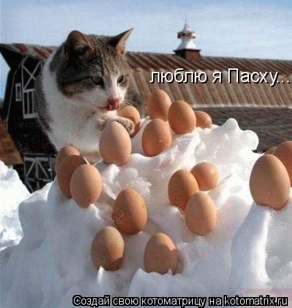 Котоматрица: люблю я Пасху....