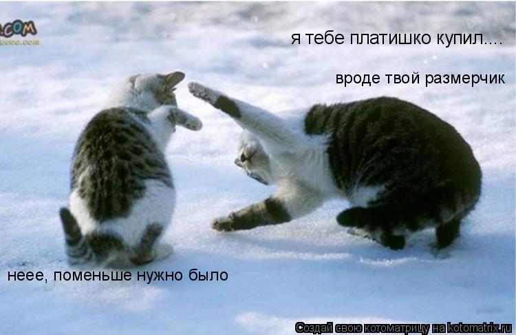 Котоматрица: я тебе платишко купил.... вроде твой размерчик неее, поменьше нужно было
