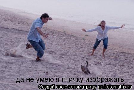 Котоматрица: да не умею я птичку изображать