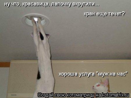 Котоматрица: хороша услуга "муж на час" ну что, красавица, лапочку вкрутили... кран еще течет?