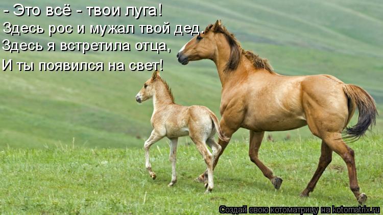 Котоматрица: - Это всё - твои луга! Здесь рос и мужал твой дед. Здесь я встретила отца, И ты появился на свет!