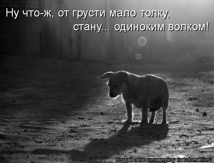 Котоматрица: Ну что-ж, от грусти мало толку,  стану... одиноким волком!