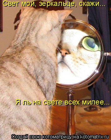 Котоматрица: Свет мой, зеркальце, скажи... Я ль на свете всех милее...