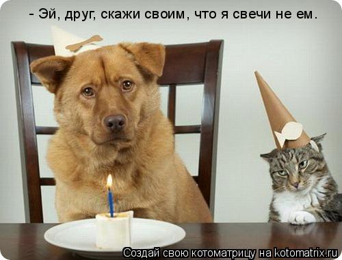 Котоматрица: - Эй, друг, скажи своим, что я свечи не ем.