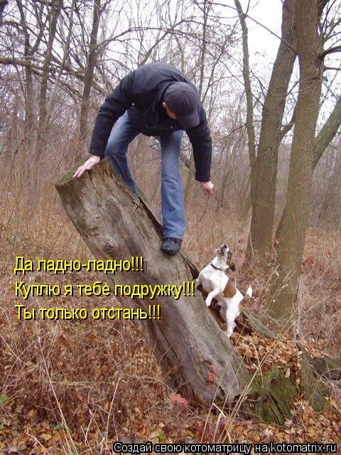 Котоматрица: Да ладно-ладно!!!  Куплю я тебе подружку!!! Ты только отстань!!!
