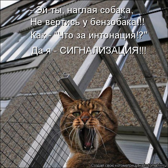 - Эй ты, наглая собака, Не вертись у бензобака!!! Как - "Что за интонация!?" Да я - СИГНАЛИЗАЦИЯ!!!... Котоматрица: - Эй ты, наглая собака, Не вертись у бензобака!!! Как - "Что за интонация!?" Да я - СИГНАЛИЗАЦИЯ!!!