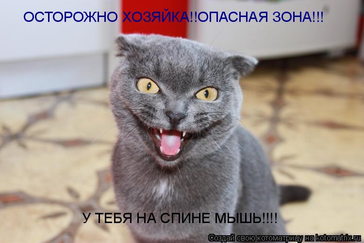 Котоматрица: ОСТОРОЖНО ХОЗЯЙКА!!ОПАСНАЯ ЗОНА!!! У ТЕБЯ НА СПИНЕ МЫШЬ!!!!