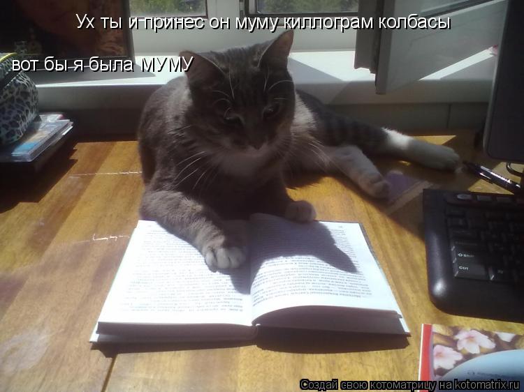 Котоматрица: Ух ты и принес он муму киллограм колбасы вот бы я была МУМУ