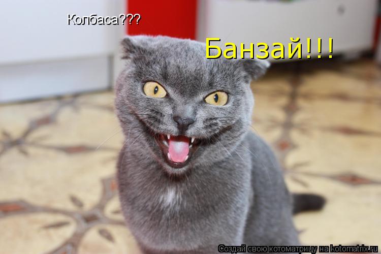 Котоматрица: Колбаса??? Банзай!!!
