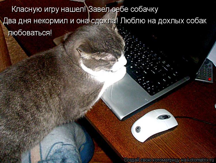 Котоматрица: Класную игру нашел! Завел себе собачку Два дня некормил и она сдохла! Люблю на дохлых собак любоваться!