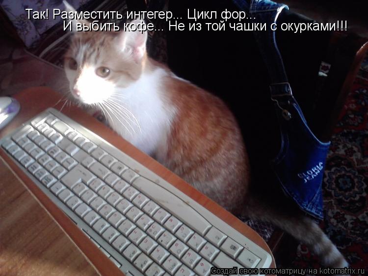 Котоматрица: Так! Разместить интегер... Цикл фор... И выбить кофе... Не из той чашки с окурками!!!