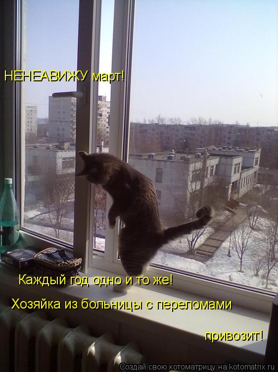 Котоматрица: НЕНЕАВИЖУ март! Каждый год одно и то же!  Хозяйка из больницы с переломами привозит!