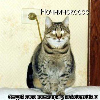 Котоматрица: Ночничоксссс