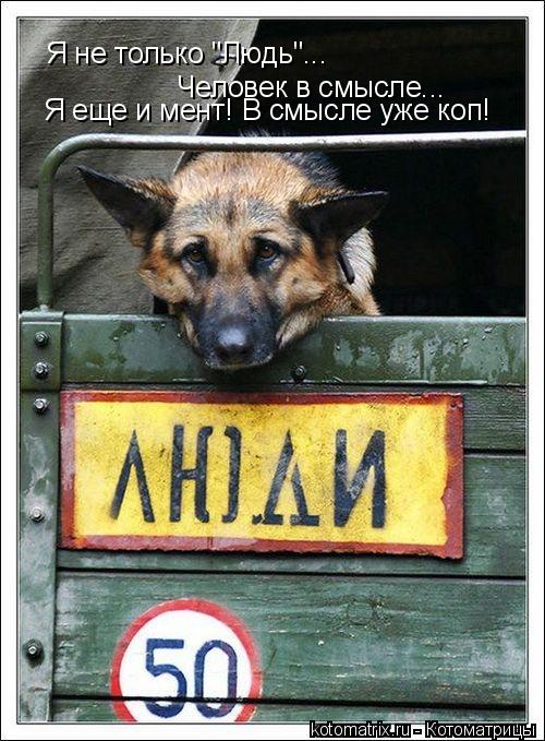 Котоматрица: Я не только "Людь"... Человек в смысле... Я еще и мент! В смысле уже коп!