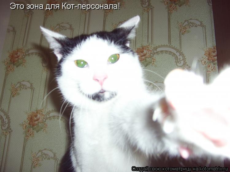 Котоматрица: Это зона для Кот-персонала!