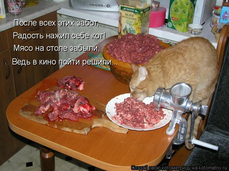 Котоматрица: После всех этих забот, Радость нажил себе кот! Мясо на столе забыли, Ведь в кино пойти решили...