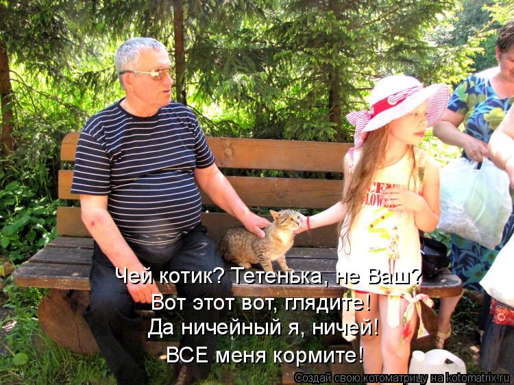 Чей котик? Тетенька, не Ваш? Вот этот вот, глядите! Да ничейный я, ничей! ВСЕ меня кормите!... Котоматрица: Чей котик? Тетенька, не Ваш? Вот этот вот, глядите! Да ничейный я, ничей! ВСЕ меня кормите!