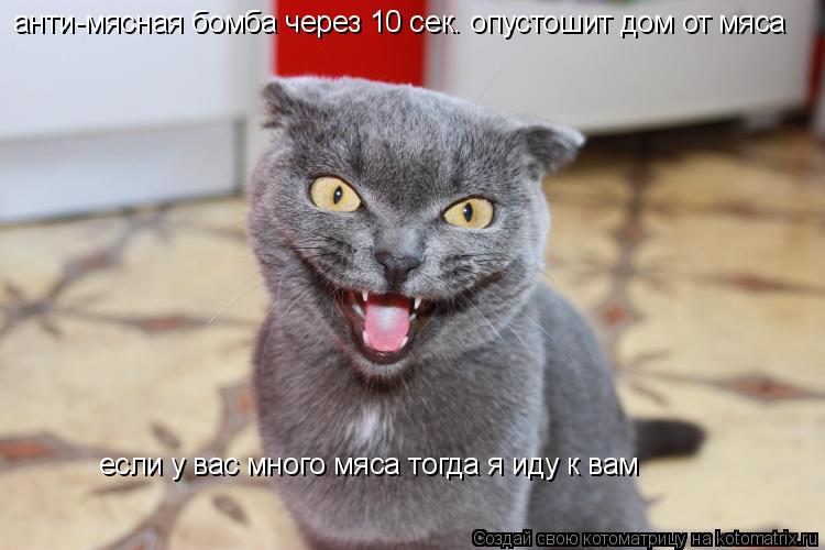 Котоматрица: анти-мясная бомба через 10 сек. опустошит дом от мяса если у вас много мяса тогда я иду к вам