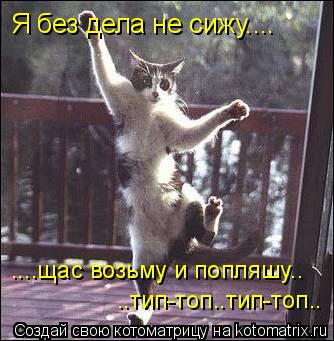 Котоматрица: Я без дела не сижу.... ....щас возьму и попляшу.. ..тип-топ..тип-топ..