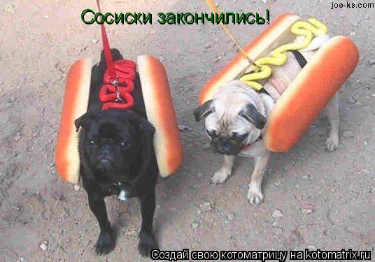 Котоматрица: Сосиски закончились!