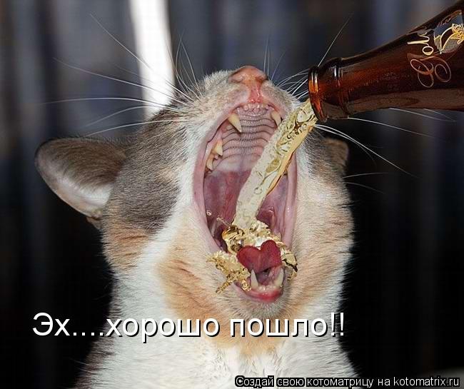 Котоматрица: Эх....хорошо пошло!!