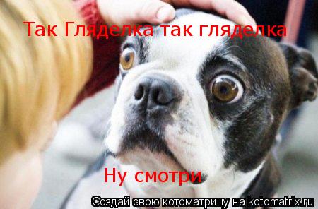 Котоматрица: Так Гляделка так гляделка Ну смотри