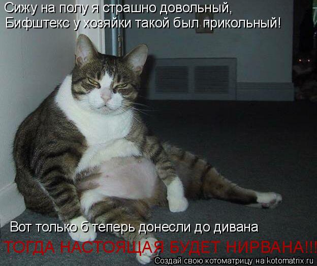 Котоматрица: Сижу на полу я страшно довольный,  Бифштекс у хозяйки такой был прикольный! Вот только б теперь донесли до дивана ТОГДА НАСТОЯЩАЯ БУДЕТ НИРВ