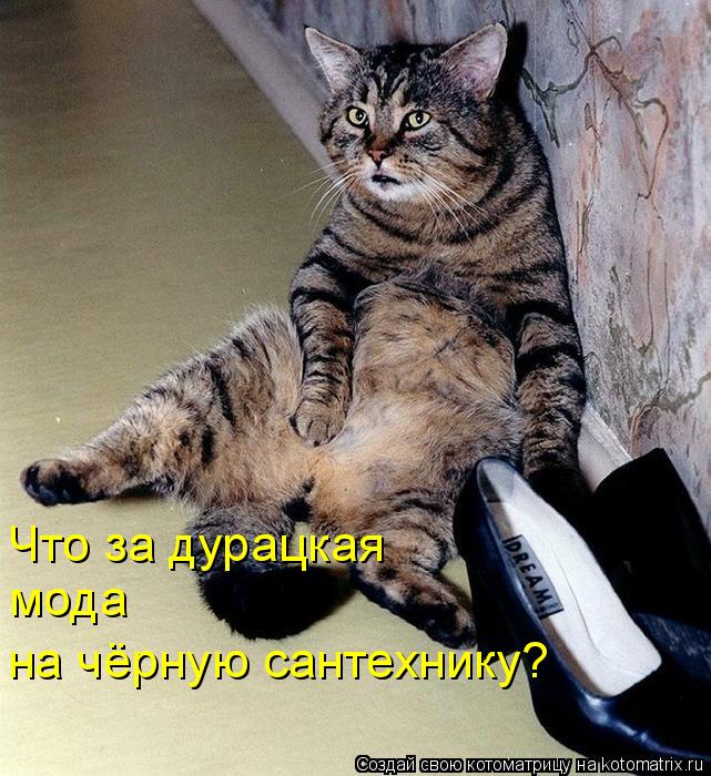 Котоматрица: Что за дурацкая  мода  на чёрную сантехнику?