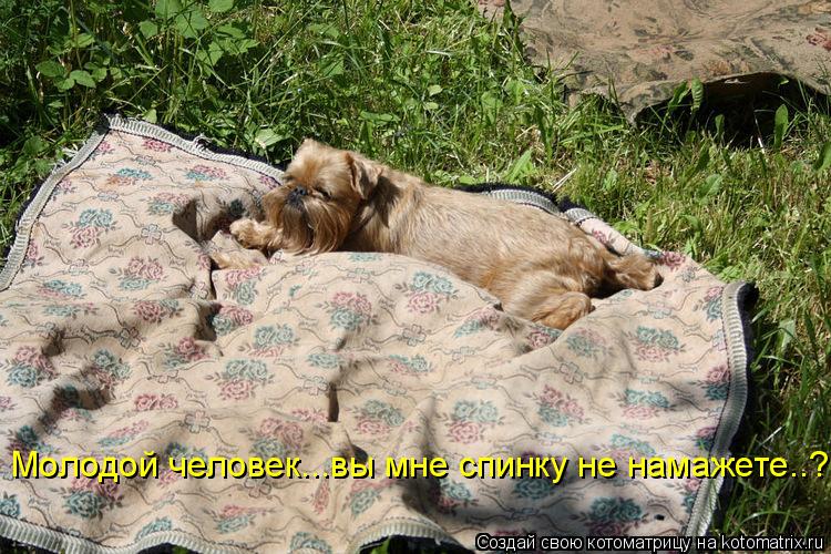Котоматрица: Молодой человек...вы мне спинку не намажете..?
