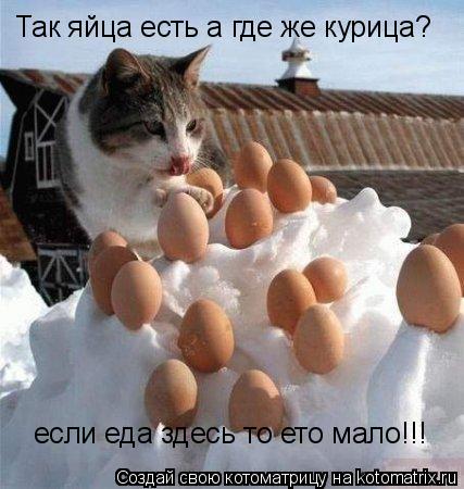 Котоматрица: Так яйца есть а где же курица? если еда здесь то ето мало!!!