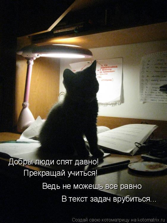 Котоматрица: Добры люди спят давно! Прекращай учиться! Ведь не можешь все равно В текст задач врубиться...