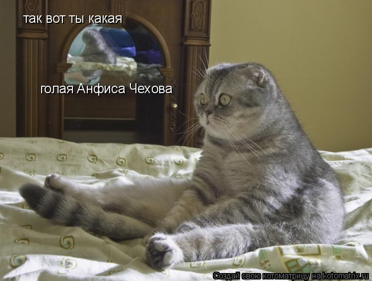 так вот ты какая голая Анфиса Чехова... Котоматрица: так вот ты какая голая Анфиса Чехова