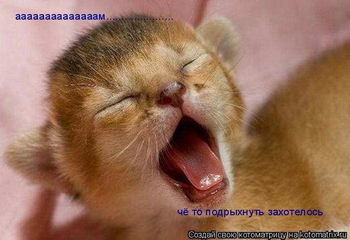 Котоматрица: аааааааааааааам...................... чё то подрыхнуть захотелось