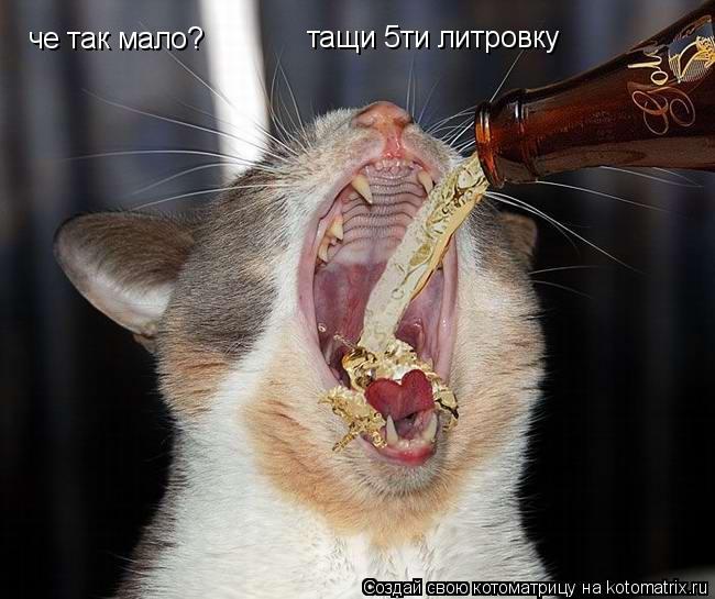 Котоматрица: че так мало? тащи 5ти литровку