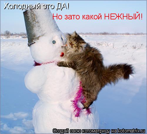 Котоматрица: Холодный это ДА! Но зато какой НЕЖНЫЙ!