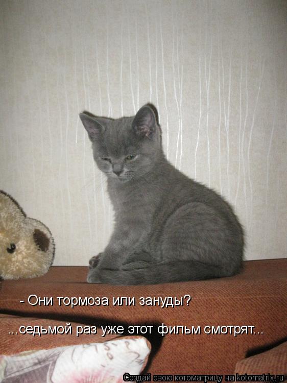 Котоматрица: - Они тормоза или зануды? ...седьмой раз уже этот фильм смотрят...