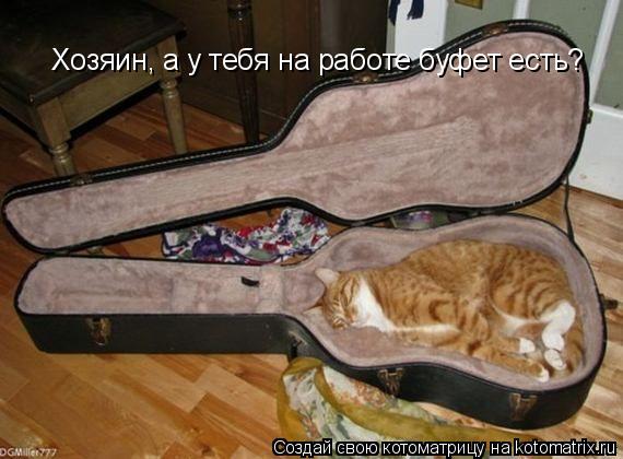 Котоматрица: Хозяин, а у тебя на работе буфет есть?