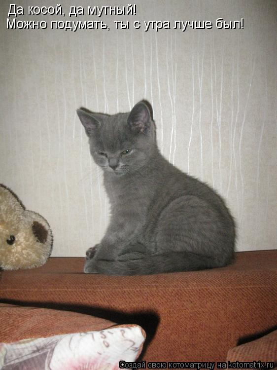 Котоматрица: Да косой, да мутный! Можно подумать, ты с утра лучше был!