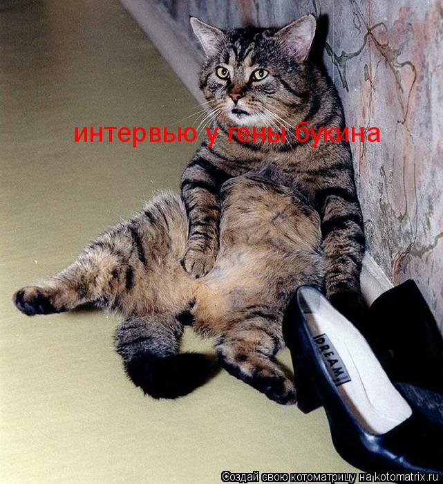 Котоматрица: интервью у гены букина
