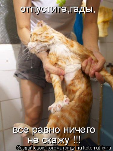 Котоматрица: отпустите,гады, все равно ничего не скажу !!!