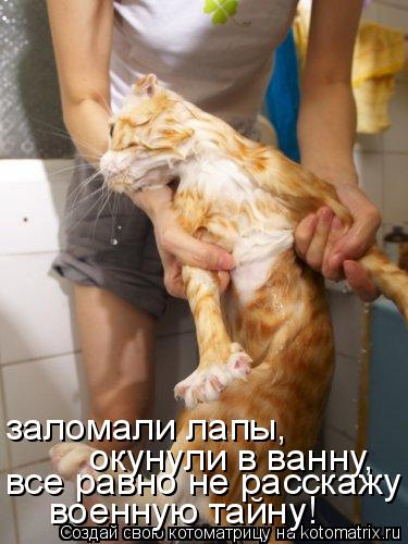 Котоматрица: заломали лапы, окунули в ванну, все равно не расскажу военную тайну!